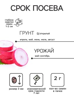 Набор семян Редиса, 6 упаковок