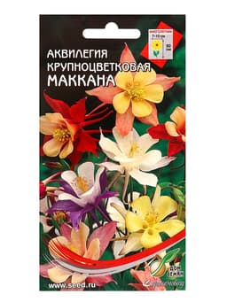Набор семян Аквилегия многолетняя крупноцветковая Маккана, 50 семян