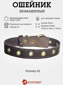 Ошейник безразмерный, 40×2 см, с подпряжником, кожа, коричневый