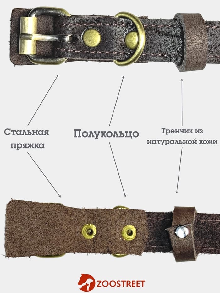 Ошейник безразмерный, 40×2 см, с подпряжником, кожа, коричневый