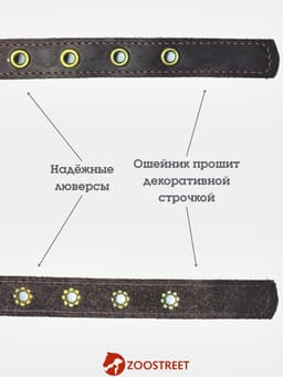 Ошейник безразмерный, 40×2 см, с подпряжником, кожа, коричневый