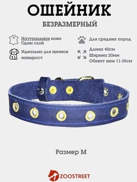 Ошейник безразмерный, 40×2 см, с подпряжником, кожа, синий