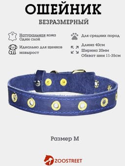 Ошейник безразмерный, 40×2 см, с подпряжником, кожа, синий