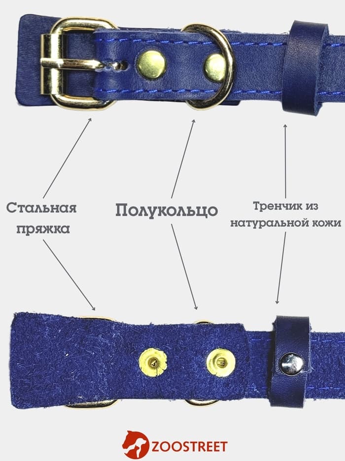 Ошейник безразмерный, 40×2 см, с подпряжником, кожа, синий