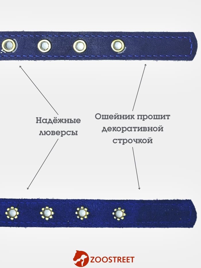 Ошейник безразмерный, 40×2 см, с подпряжником, кожа, синий