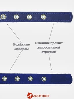 Ошейник безразмерный, 40×2 см, с подпряжником, кожа, синий