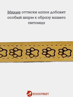 Ошейник, 45×2 см, с подкладом, тиснение, кожа, бежевый