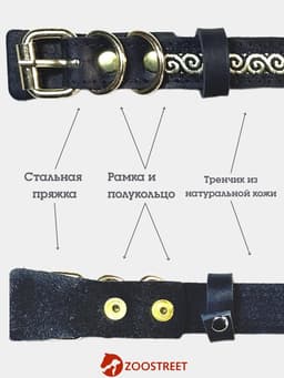 Ошейник, 45×2 см, с бантиком, тесьмой и стразами, кожа, чёрный