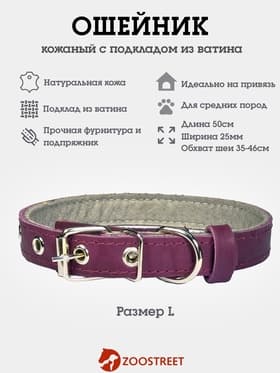 Ошейник, 50×2.5 см, подклад из ватина, кожа, фиолетовый