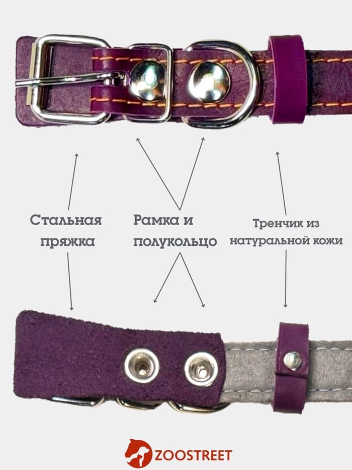 Ошейник, 50×2.5 см, подклад из ватина, кожа, фиолетовый