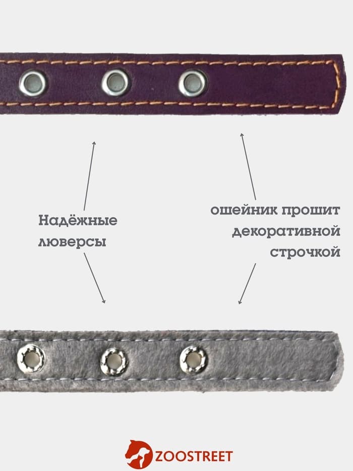 Ошейник, 50×2.5 см, подклад из ватина, кожа, фиолетовый
