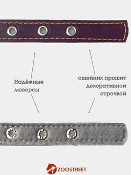 Ошейник, 50×2.5 см, подклад из ватина, кожа, фиолетовый