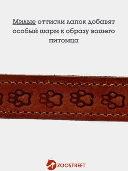 Ошейник, 50×2.5 см, с подкладом тиснение, кожа, коричневый