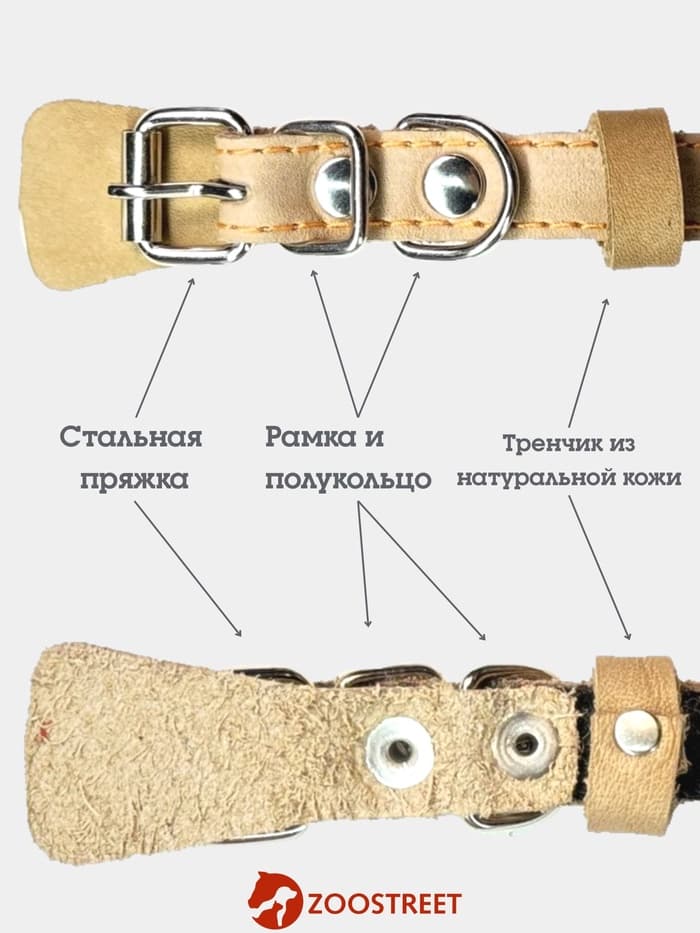 Ошейник, 35×1.5 см, подклад из ватина, кожа, бежевый