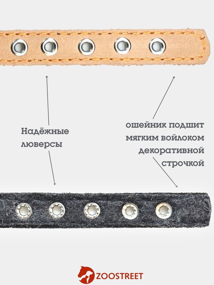 Ошейник, 35×1.5 см, подклад из ватина, кожа, бежевый