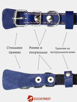 Ошейник, 35×1.5 см, подклад из ватина, кожа, синий