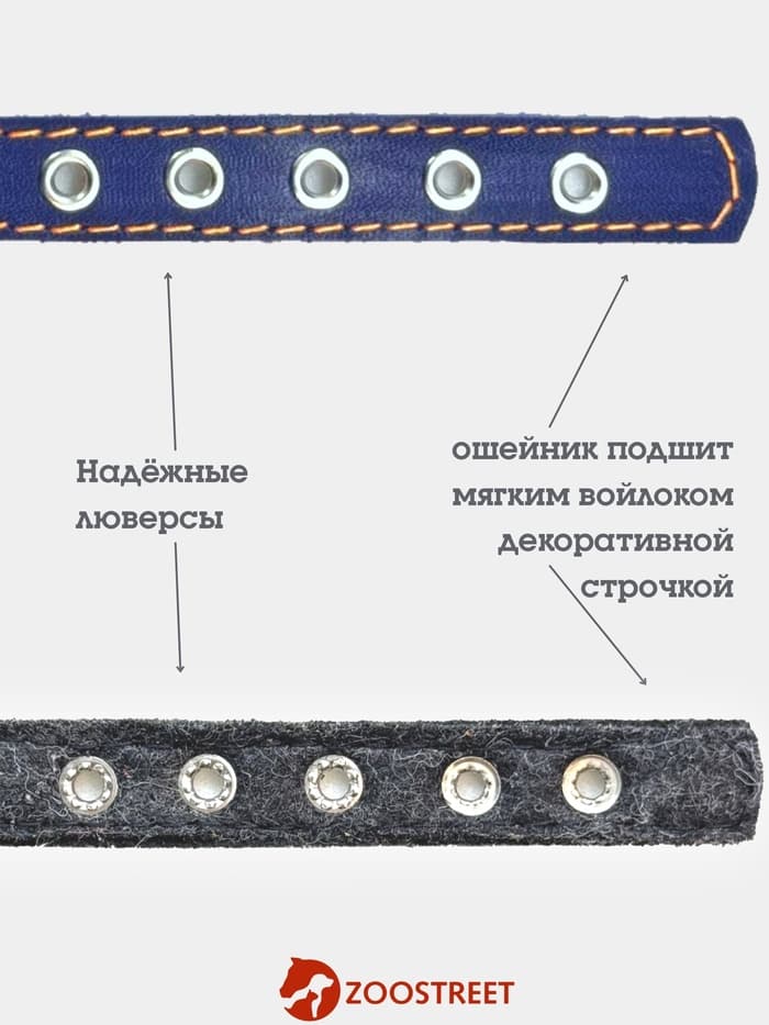 Ошейник, 35×1.5 см, подклад из ватина, кожа, синий