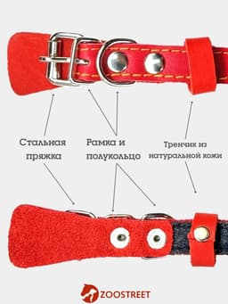Ошейник, 35×1.5 см, подклад из ватина, кожа, красный