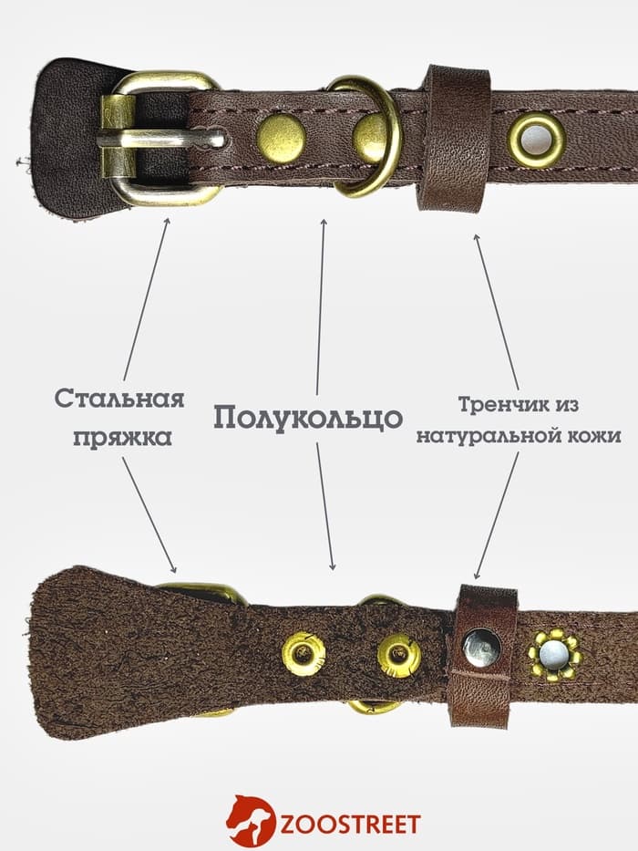 Ошейник безразмерный, 35×1.5 см, с подпряжником, кожа, коричневый