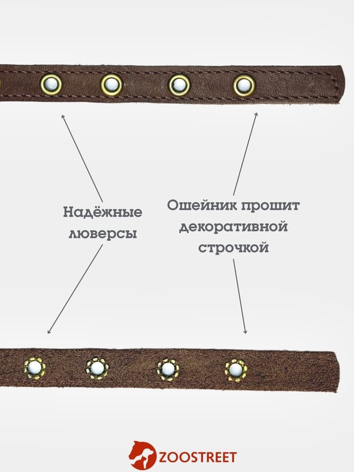 Ошейник безразмерный, 35×1.5 см, с подпряжником, кожа, коричневый