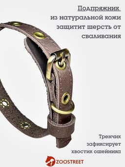 Ошейник безразмерный, 35×1.5 см, с подпряжником, кожа, коричневый