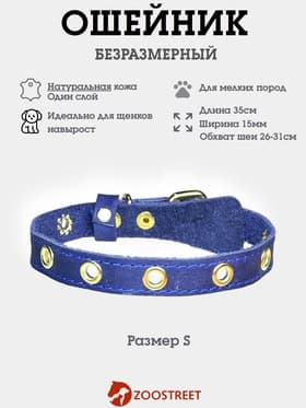 Ошейник, безразмерный, 35×1.5 см, с подпряжником, кожа, синий