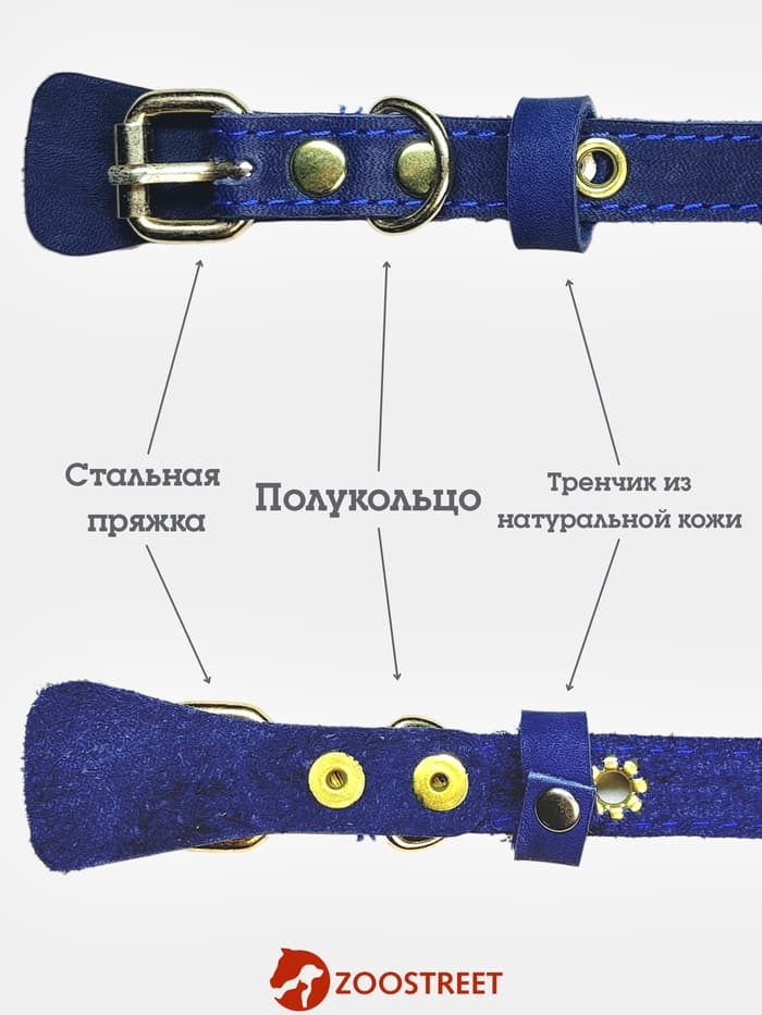 Ошейник, безразмерный, 35×1.5 см, с подпряжником, кожа, синий