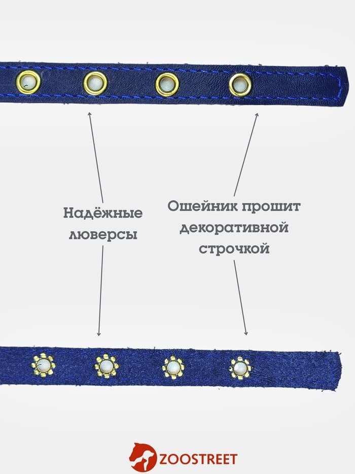 Ошейник, безразмерный, 35×1.5 см, с подпряжником, кожа, синий