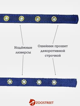 Ошейник, безразмерный, 35×1.5 см, с подпряжником, кожа, синий