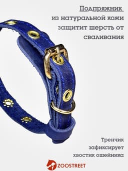 Ошейник, безразмерный, 35×1.5 см, с подпряжником, кожа, синий