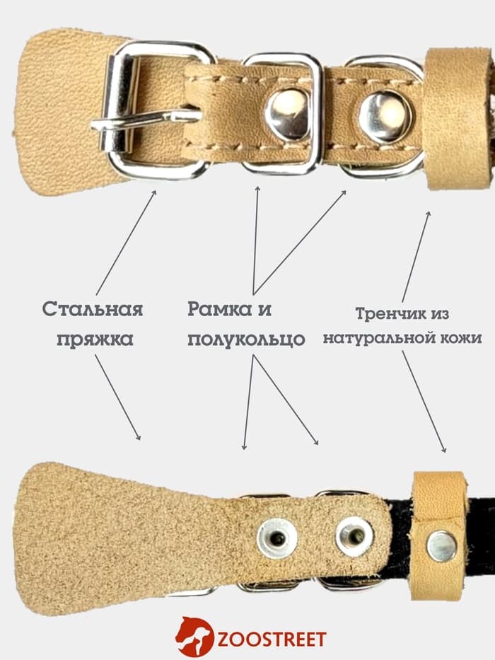Ошейник, 35×1.5 см, с подкладом и светоотражающей лентой, кожа, бежевый