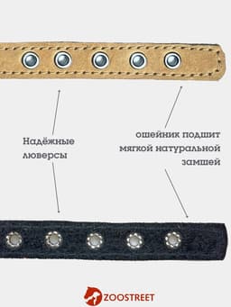Ошейник, 35×1.5 см, с подкладом и светоотражающей лентой, кожа, бежевый