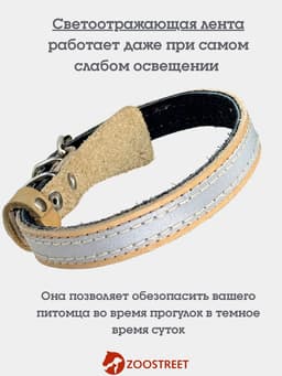 Ошейник, 35×1.5 см, с подкладом и светоотражающей лентой, кожа, бежевый
