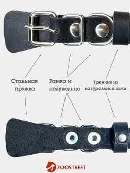 Ошейник, 35×1.5 см, с подкладом и светоотражающей лентой, кожа, чёрный