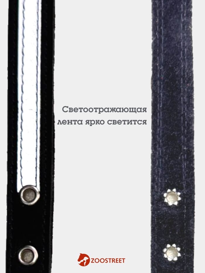 Ошейник, 35×1.5 см, с подкладом и светоотражающей лентой, кожа, чёрный