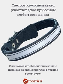 Ошейник, 35×1.5 см, с подкладом и светоотражающей лентой, кожа, чёрный