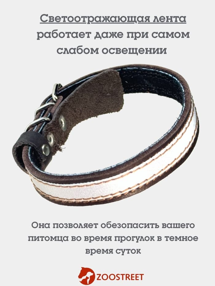 Ошейник, 35×1.5 см, с подкладом и светоотражающей лентой, кожа, коричневый