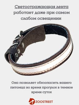 Ошейник, 35×1.5 см, с подкладом и светоотражающей лентой, кожа, коричневый