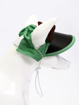 Кепка для животных, размер M, ОГ 32-39 см, высота 10 см, зелёная