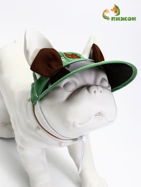 Кепка для собак и кошек, размер L, ОГ 35-46 см, высота 13 см, зелёная