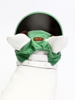 Кепка для собак и кошек, размер L, ОГ 35-46 см, высота 13 см, зелёная