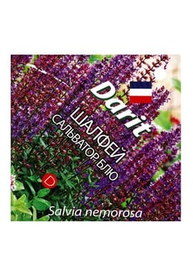 Семена цветов Шалфей дубравный Сальватор Блю Дарит 7шт