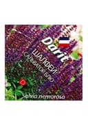 Семена цветов Шалфей дубравный Сальватор Блю Дарит 7шт