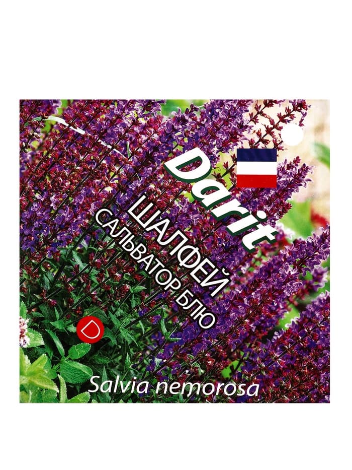 Семена цветов Шалфей дубравный Сальватор Блю Дарит 7шт