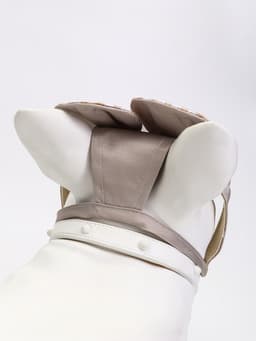 Панама для собак и кошек, размер L, ОГ 44 см, высота 13.5 см, бежевая