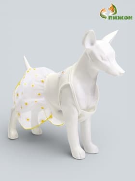 Сарафан для животных «Ромашка», размер M, ДС 30, ОГ 40 см