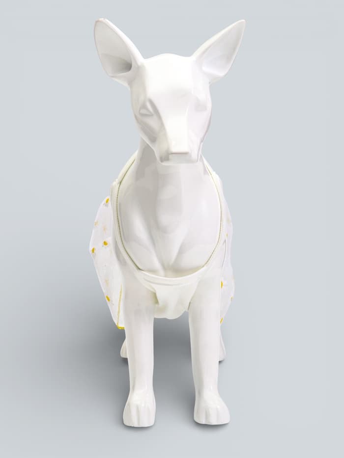 Сарафан для животных «Ромашка», размер M, ДС 30, ОГ 40 см