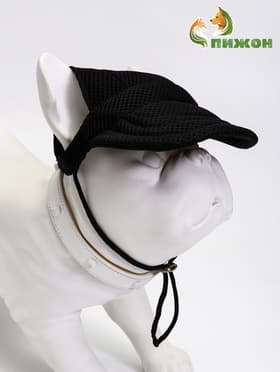 Кепка для собак и кошек, размер L, ОГ - 44 см, высота 13.5 см, чёрная