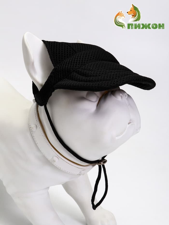 Кепка для собак и кошек, размер L, ОГ - 44 см, высота 13.5 см, чёрная