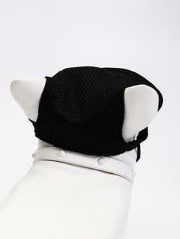 Кепка для собак и кошек, размер L, ОГ - 44 см, высота 13.5 см, чёрная